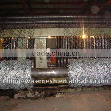 Electro Galvanized Hexagonal wire mesh