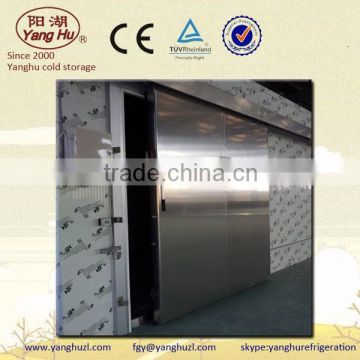 Cold storage electric sliding door