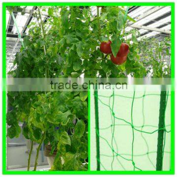 100% New Material PE Plastic Tomato Climbing Net Add UV Additives