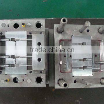 xiaxin plastic mould