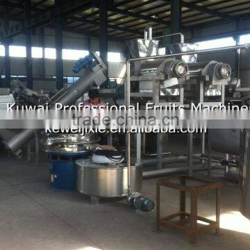 5.5 Tons Pineapple Production Line photo-2