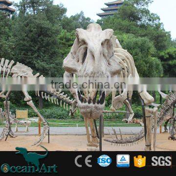 OAV3112 1:1 Scale Artificial Resin Dinosaur Skull photo-5