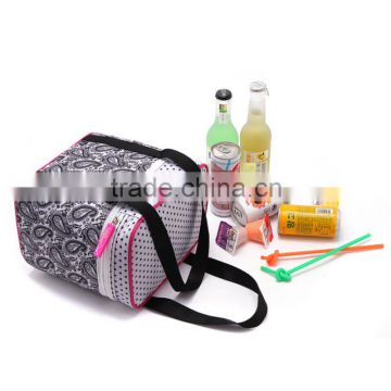 Paisley Printed Cheaper Insulated Picnic Cooler Bag