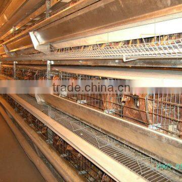 cheap galvanized welded wire high quality poultry chicken cage for sale