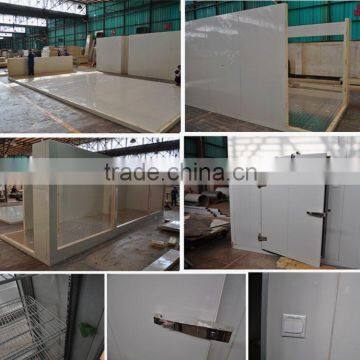Polyurethane Insulated Glass Door Freezer Storage photo-6