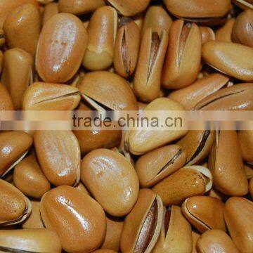 Chinese pine nuts