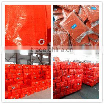 PE/PP Tarpaulin With Eyelets photo-3