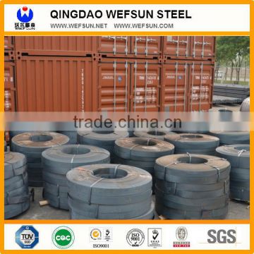 Wefsun Top Quqlity Hot Rolled Steel Strip