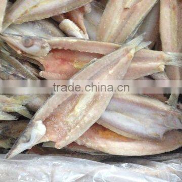 Chinese Factory Frozen Lady Fish Price