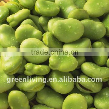 chinese green kidney bean