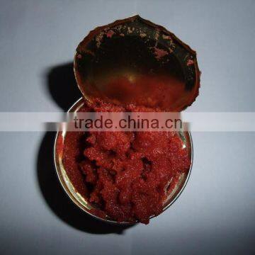 Supply Tomato Paste