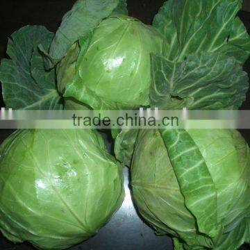 shouguang fresh green baocai(200g)