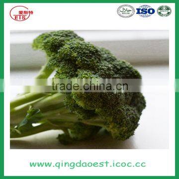 Hot Sale Fresh Broccoli for Sale 800-900g/pc photo-3