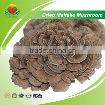 Most Popular Dried Maitake Mushroom