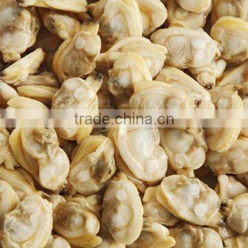 FROZEN CLAM MEAT