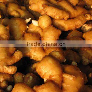 Chinese ginger