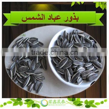 High Quality Raw 5009 Sunflower Seeds For Roasted