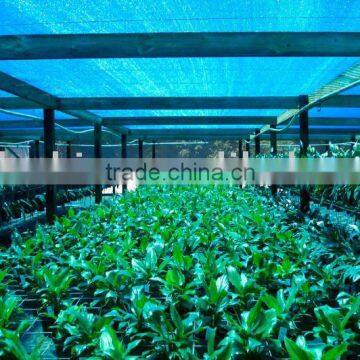 100% virgin HDPE agriculture net