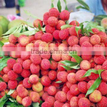 Lychee Fresh Fruit