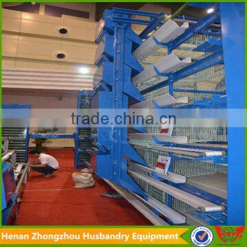 Produced by Professional Manufacturer Auto Broiler Chicken Cage