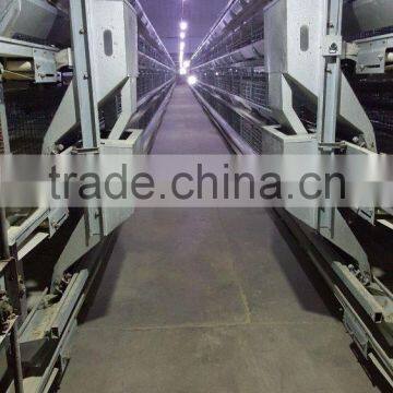 Chicken layer cage/Chicken breeding cage of A type