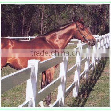 Used Corral Panels for Horse