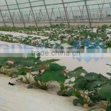 Simple Agricultural Tunnel Vegetable Greenhouse photo-2