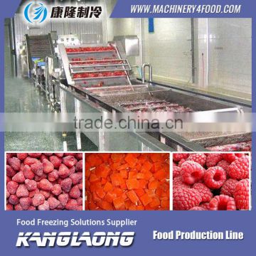 New Technology large capacity fruit processing machine