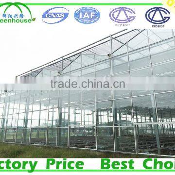 Large Size and Multi Span Agricultural Glass Greenhouse photo-2