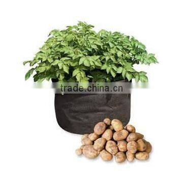 Non Woven Fabric Tomato Grow Bag by Non Woven Grow Bag photo-3