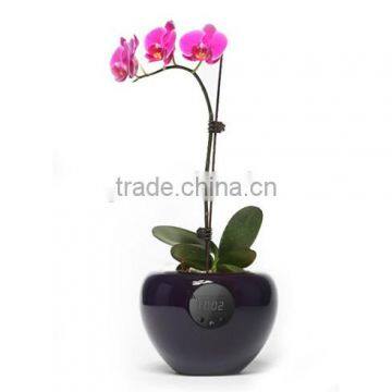 Stylish Desktop Flower Pot Vase with Time Temperature Humidity Display