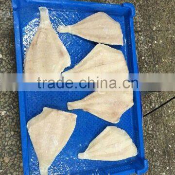 Frozen Seafood BLACK POMFRET OR BRAMA FILLET Frozen Fish photo-2