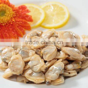 Good Quality Frozen Boiled Short Necked Clam photo-4