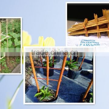 Bamboo Cane Ladders Bamboo Trellis for Agriculture photo-2