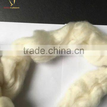 Precious Fibers White Goat Cashmere photo-2