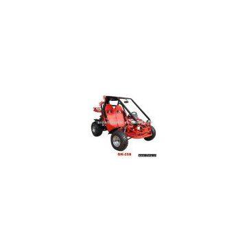 Sell 250cc Double-Seat Go Kart (EEC Approved)