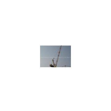 Luffing Tower Crane D160 max load 6t