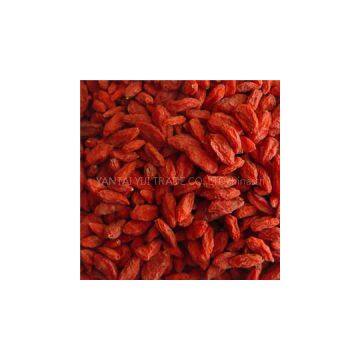 Xinjiang Organic GOJI