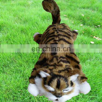 Cat rolling on the ground electronic toys