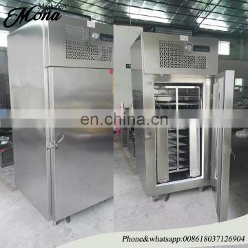 MADE IN CHINA taylor freezer/industrial meatball freezer machine/hot sale french fries instant freezer