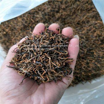 Supply Hubei Enshi black tea selenium rich black tea Lichuan black organic black tea spring tea