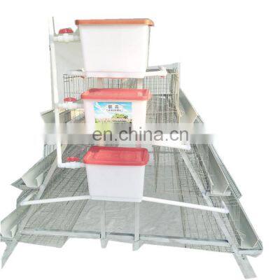 Chicken Egg Laying Equipment