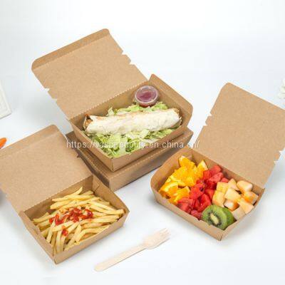 Disposable Fast Food Box 500ml Kraft PLA Lined Salad Container manufacturers
