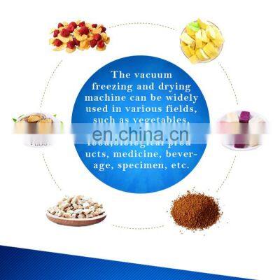 High Quality Liofilizador Industrial photo-4