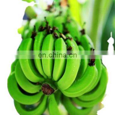 Genyond Factory industrial Automatic banana plantain peeler peeling machine/banana peel skin removing equipment