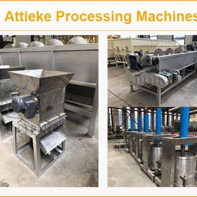 Small Scale 1-2TPH Attieke Making Line Cassava Procesing Plant for Attieke Production Peeler-Grater-Presser-Granulator-Steamer photo-5