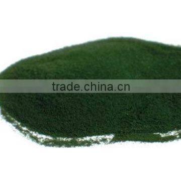 Superior Quality Spirulina Powder Producers