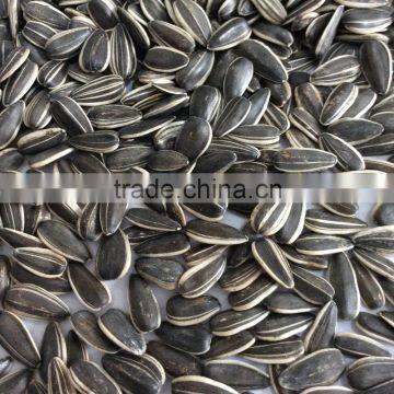 sunflower seeds for human consumption sunflower seeds round sunflower seeds