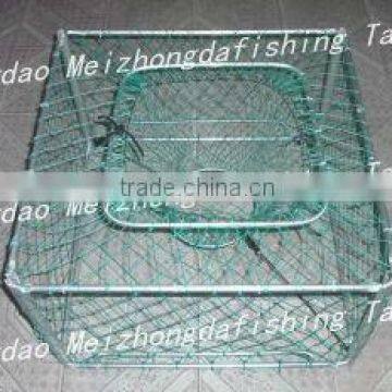 Crab Traps