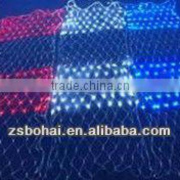 Zhongshan minilight led net light new produtct